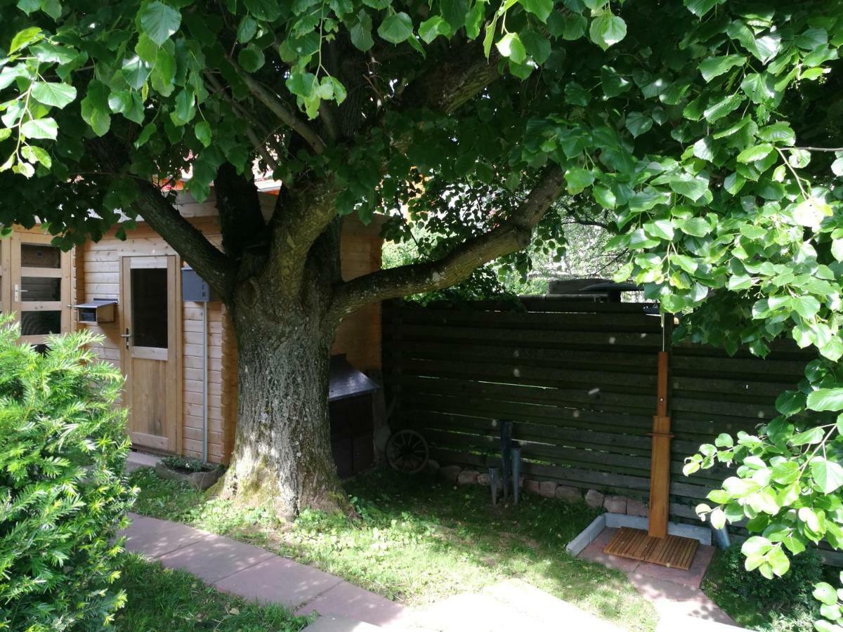 Ferienhaus Glucksmoment Grasellenbach Extérieur photo