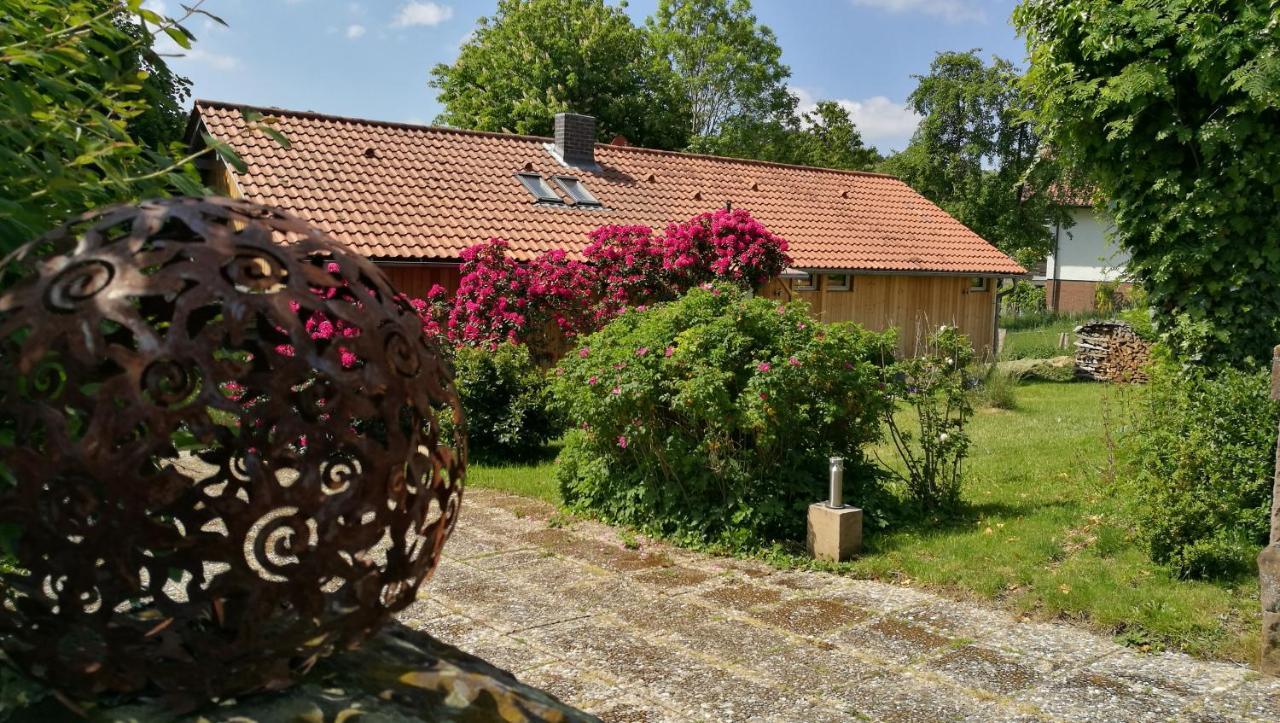 Ferienhaus Glucksmoment Grasellenbach Extérieur photo